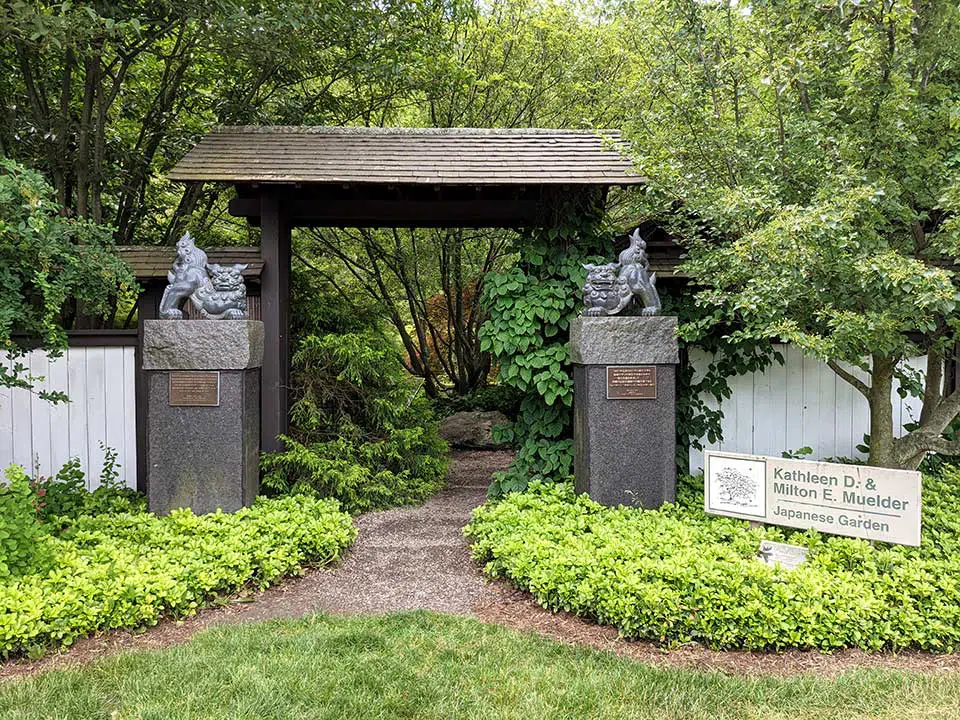 japanese garden at horiculture garden near michigan state university 