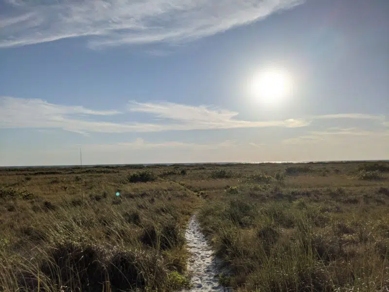 beach trail to fort desoto beach in saint petersburg, florida