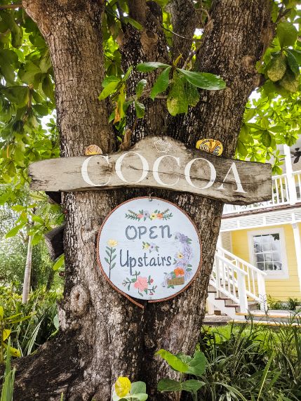 cocoas wooden painted sign in tree on harbour island