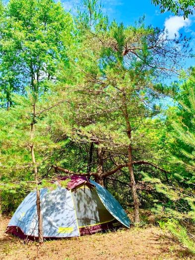 small blue round tent surrounded by trees