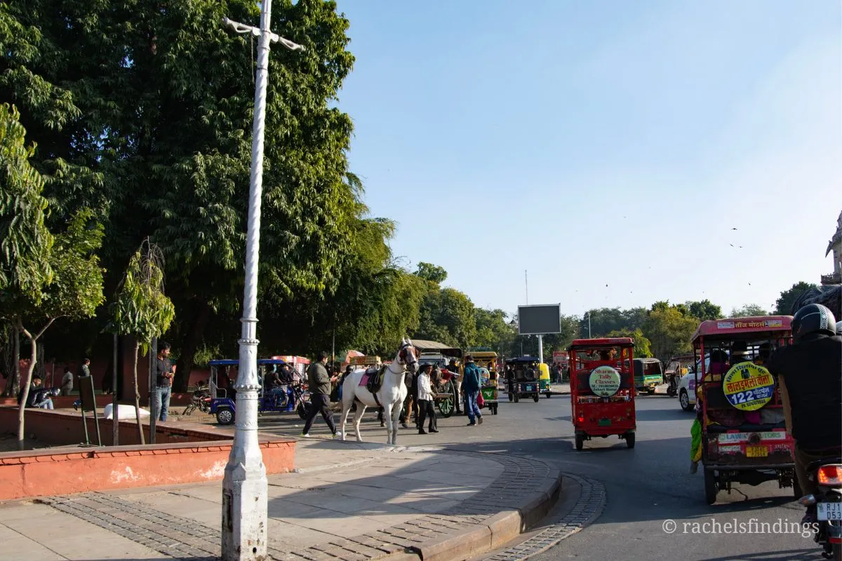 street in jaipur