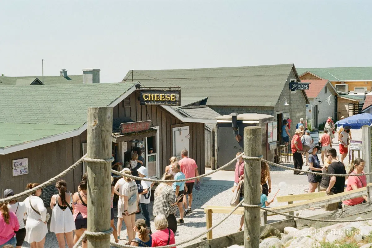 cheese shanty leland michigan