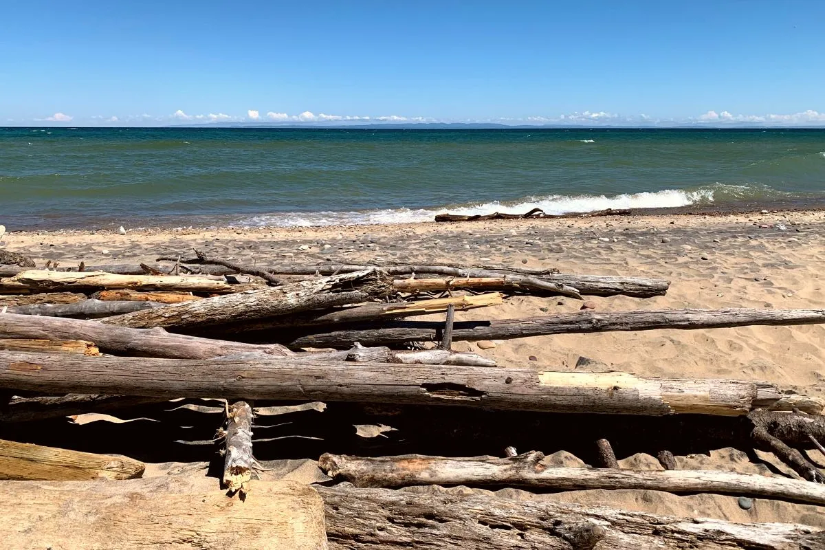 driftwood on beach at whitefish point michigan