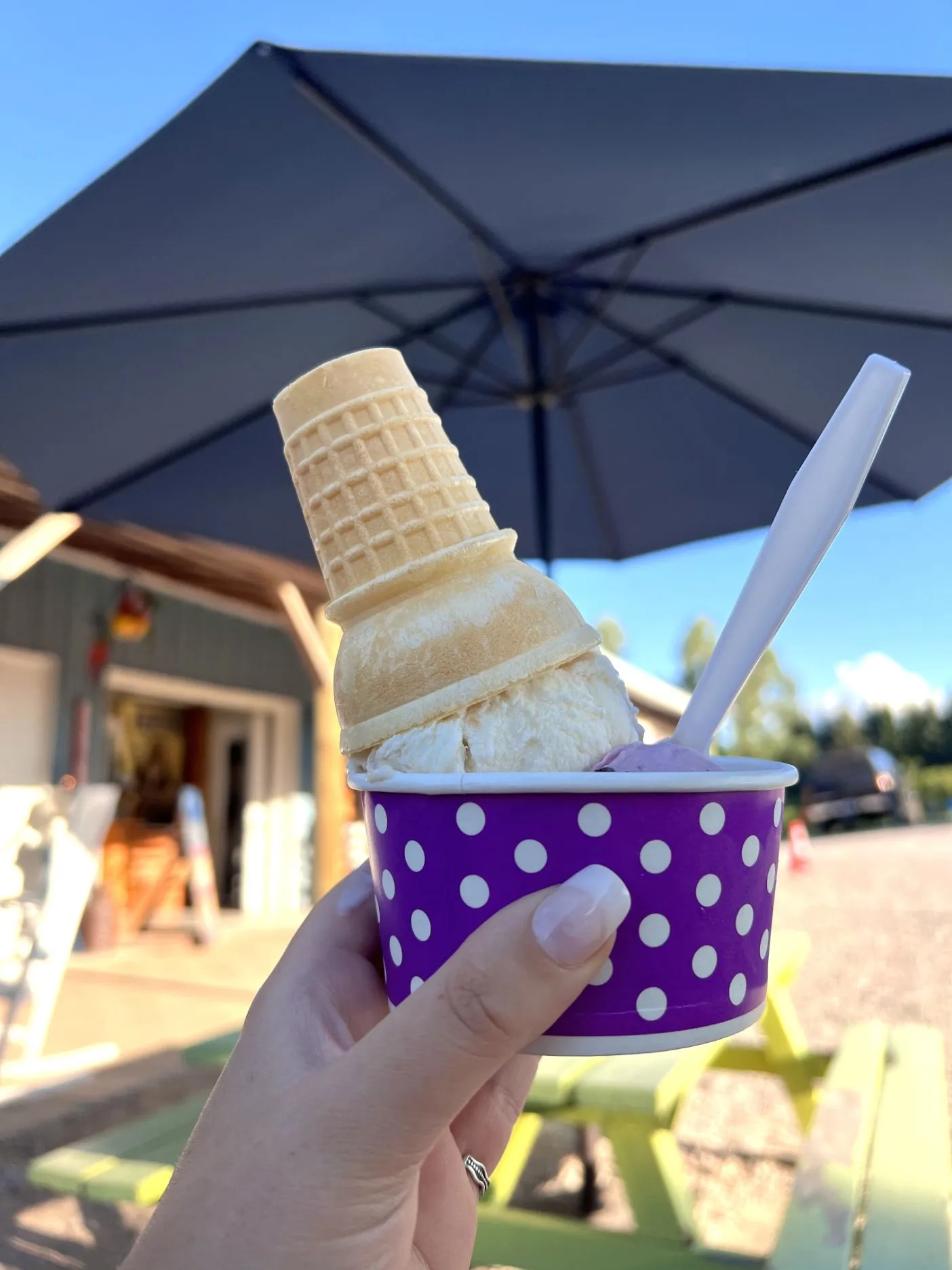 ice cream with a cone in purple dotted cup