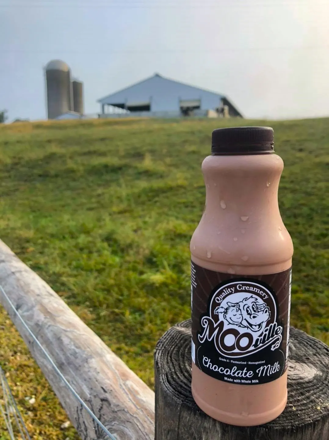 mooville chocolate milk