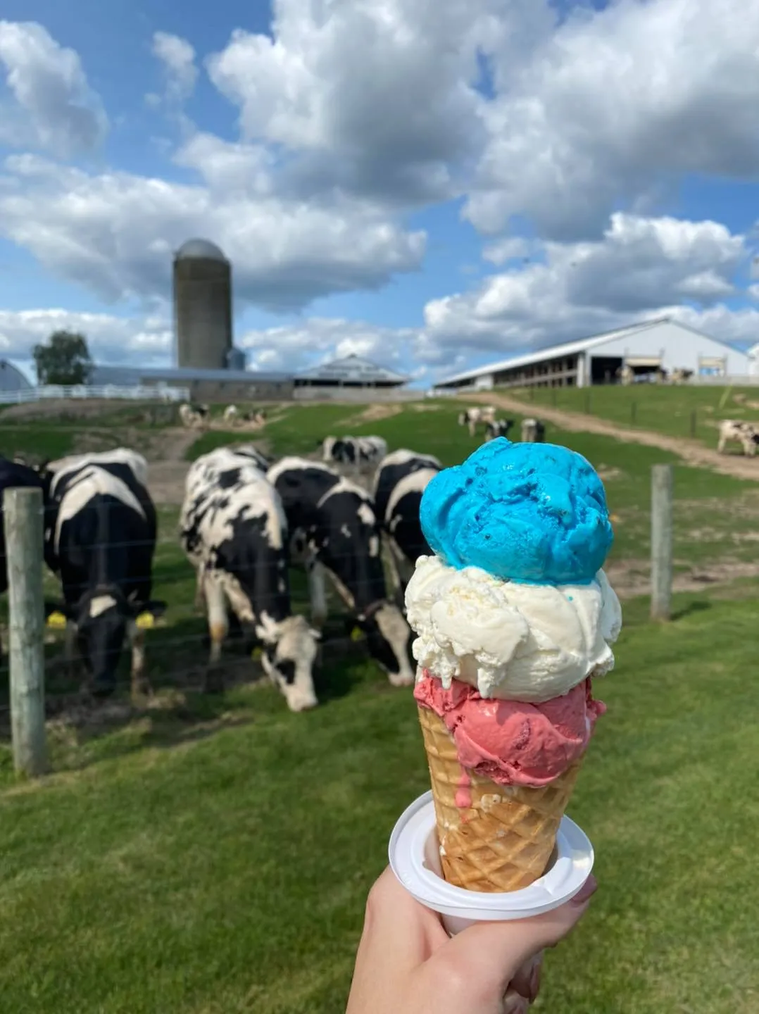 red white and blue ice cream