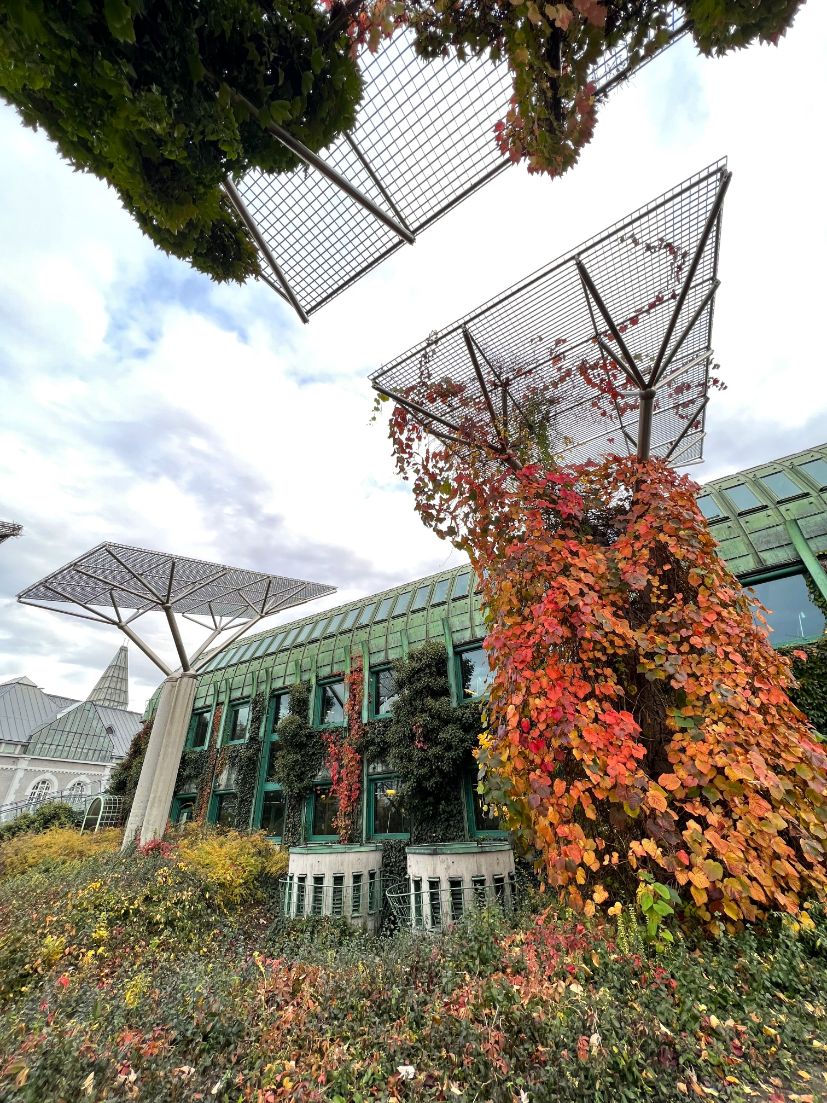 fall foliage at the university of warsaw library garden