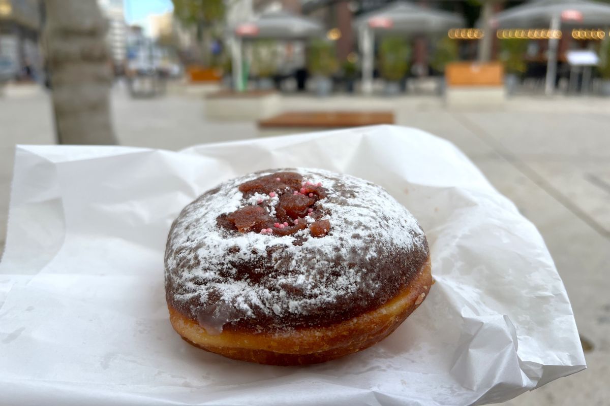 rose water jelly paczki in warsaw topped with powdered sugar