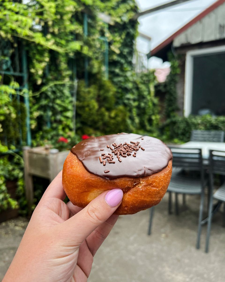 chocolate bismark from sultans bakery in sultan washington