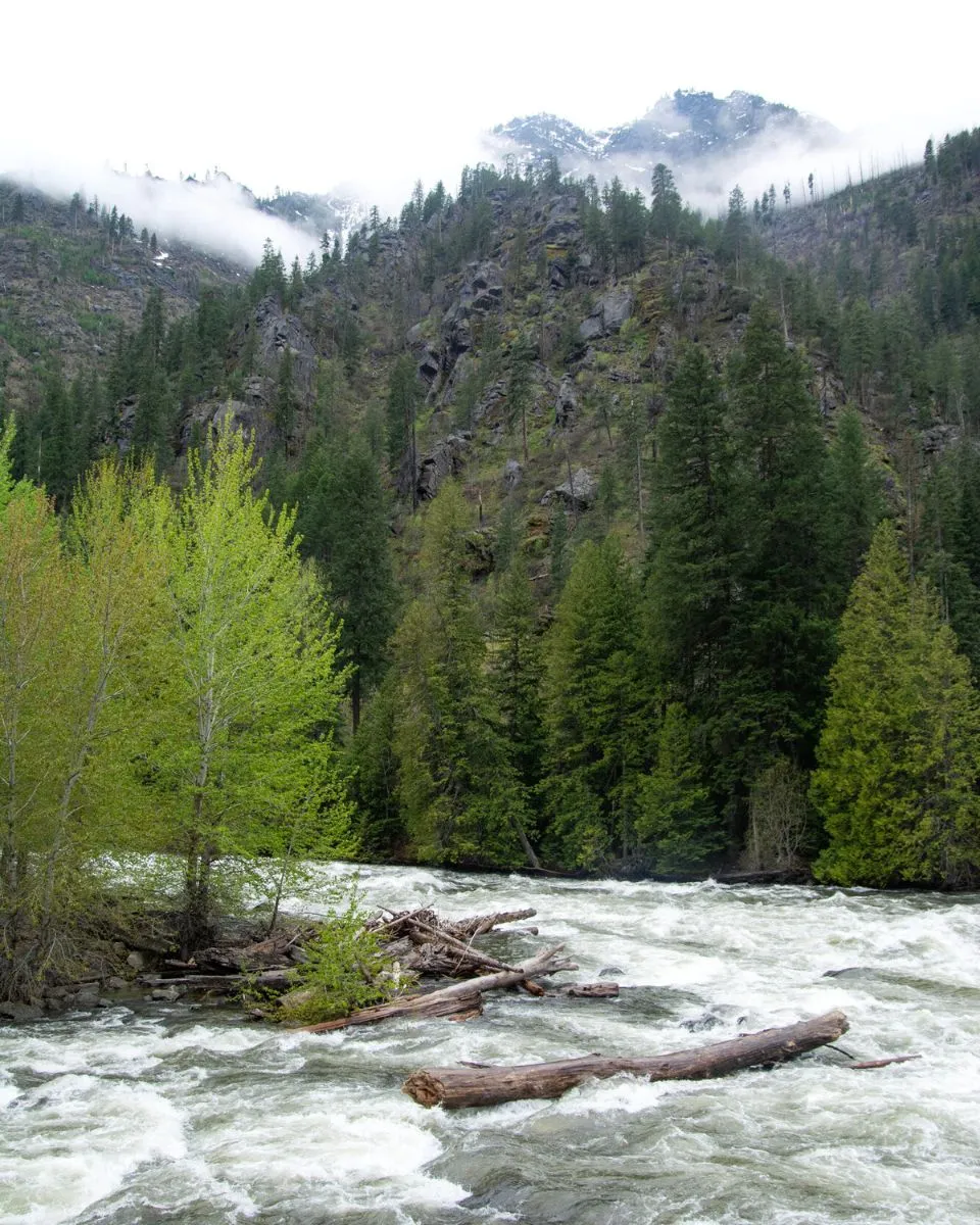 rushing white water rapids on the drive from seattle to leavenworth