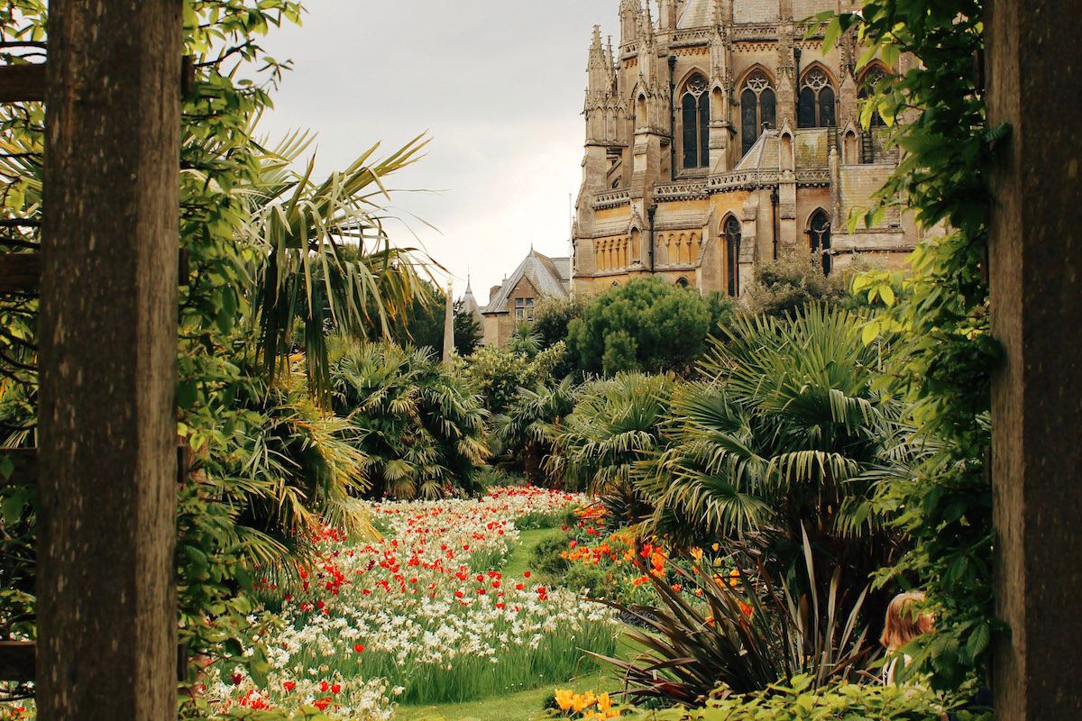 arundel castle garden tulips uk