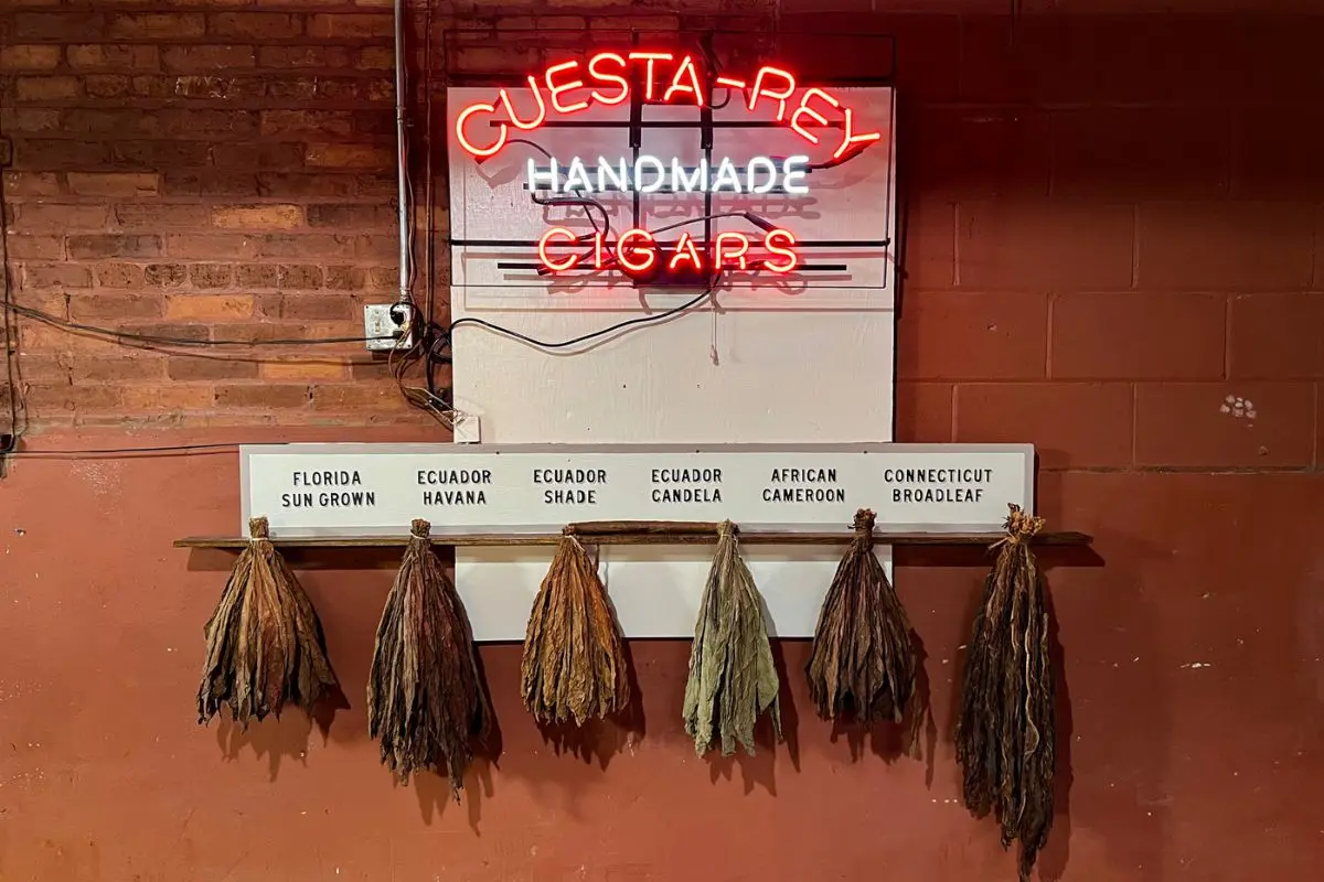 cuesta rey neon sign with dried tobacco leaves