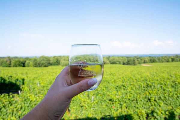 hand holding white wine in brys estate vienyard wine glass